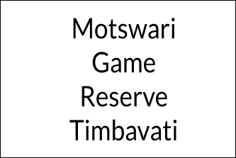 Motswari Game Reserve Timbavati